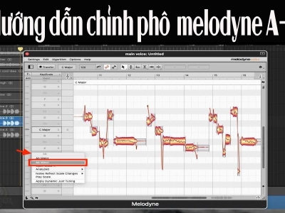 HƯỚNG DẪN CHỈNH PHÔ TRÊN MELODYNE HIỆU QUẢ