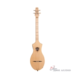 Guitar Seagull M4 Spruce EQ