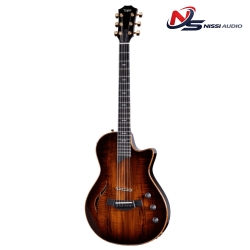 Taylor T5z Custom đàn guitar điện