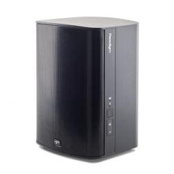 PARADIGM PREMINUM WIRELESS PW 300 Loa Nghe Nhạc
