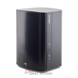 PARADIGM PREMINUM WIRELESS PW 300 Loa Nghe Nhạc