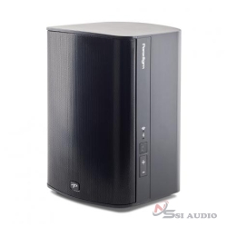 PARADIGM PREMINUM WIRELESS PW 300 Loa Nghe Nhạc