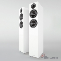ACOUSTIC ENERGY AE309