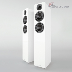 ACOUSTIC ENERGY AE309