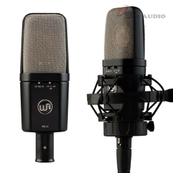 Warm Audio WA-14 Condenser Microphone