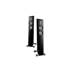 RAIDHO X-2 Loa Hi-end