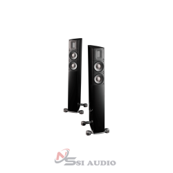 RAIDHO X-2 Loa Hi-end