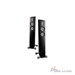 RAIDHO X-2 Loa Hi-end