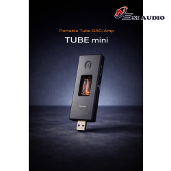 DAC/Headphone Amp Woo Audio TUBE mini Balanced - Designed and assembled in New York, USA