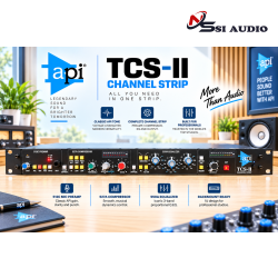 API TCS-II Channel Strip – Mạch Xử Lý Tín Hiệu Kênh Đơn Analogue Cao Cấp Chuẩn Rack 1U