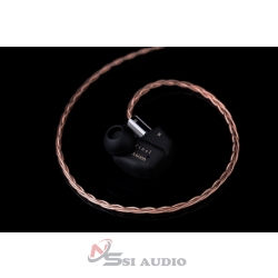 Tai nghe In Ear có dây Final Audio A6000