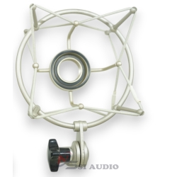 Shock mount RH4 microphone