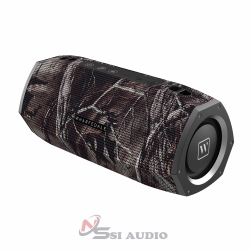 WARFEDALE EXSON PRO  Loa Nghe Nhạc