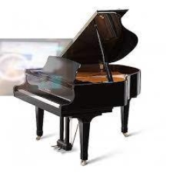Kawai GX-2