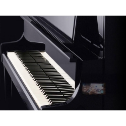 Kawai K-800