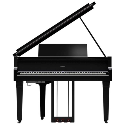 Roland GP-9M Đàn Piano Đại Dương Cầm kỹ thuật số đa năng