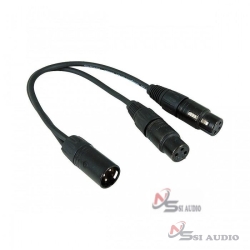 PROCO YMXM2XF-1 XLR Y-CABLE