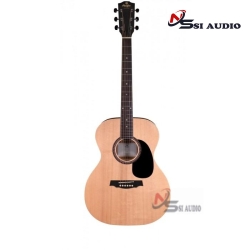 PRODIPE - ACOUSTIC GUITAR SA25 AUDITORIUM