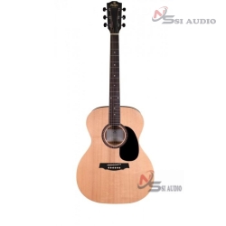 PRODIPE - ACOUSTIC GUITAR SA25 AUDITORIUM