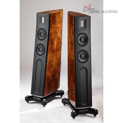 Raidho TD-2.2 Loa Hi-end
