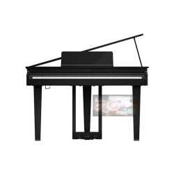 Roland GP-3