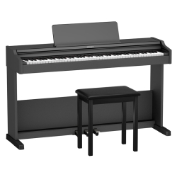Roland RP-107
