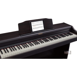 Roland RP-501R
