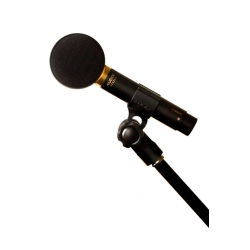 AUDIX SXC25A
