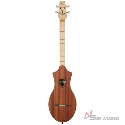 Guitar Seagull M4 Mahogany