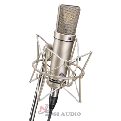 Neumann U89 I Microphone Thu Âm