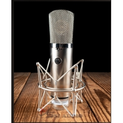 Warm Audio Wa-67 Tube Microphone