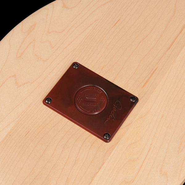 Guitar Seagull M4 Spruce EQ