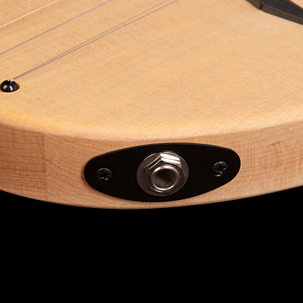 Guitar Seagull M4 Spruce EQ