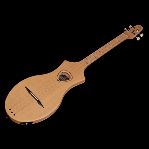 Guitar Seagull M4 Spruce EQ