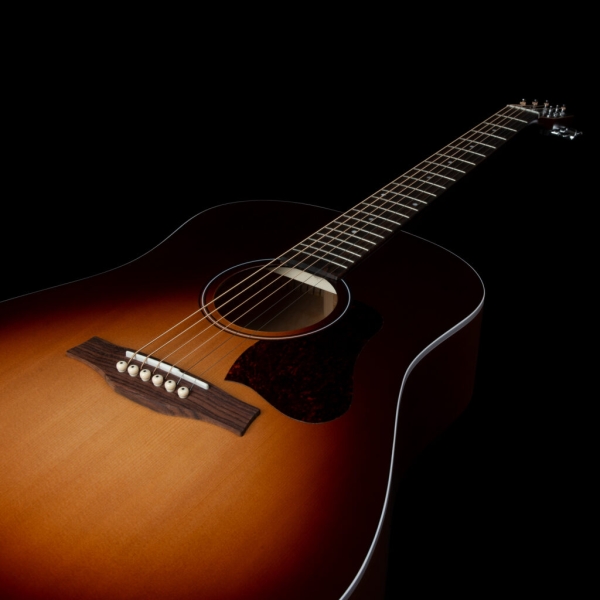 Guitar Seagull Entourage Autumn Burst