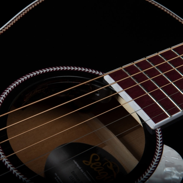 Guitar Seagull Artist Tuxedo Black Anthem EQ