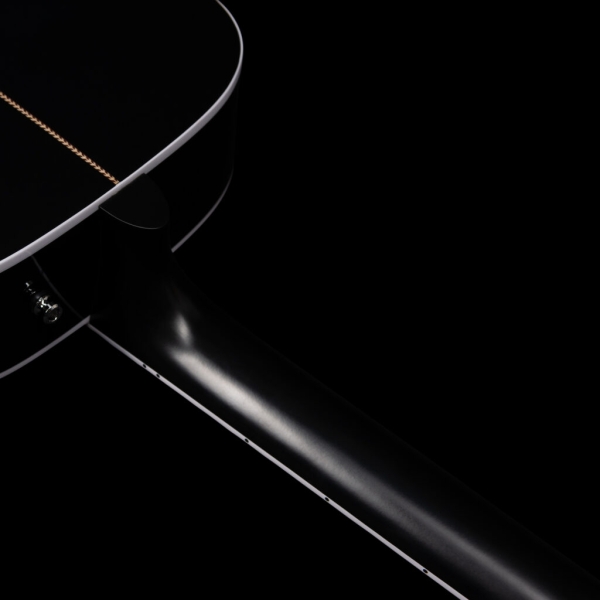Guitar Seagull Artist Tuxedo Black Anthem EQ
