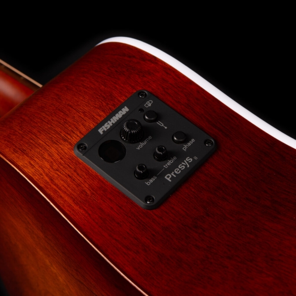 Guitar Seagull Entourage Autumn Burst CW Presys II