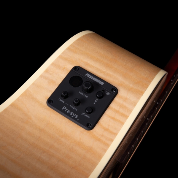 Guitar Seagull Performer CW HG Presys II