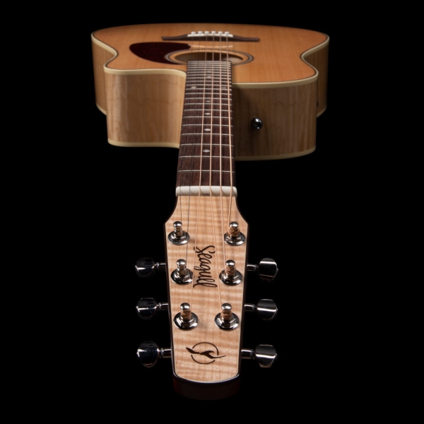 Guitar Seagull Performer CW HG Presys II