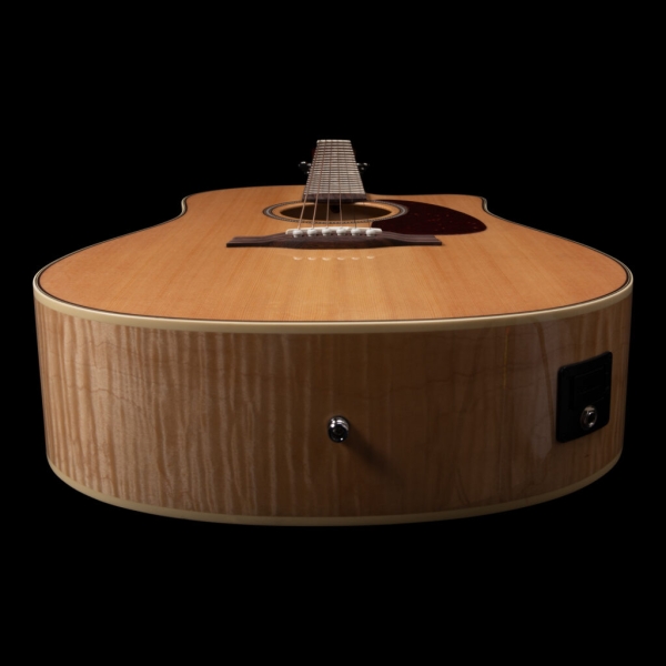 Guitar Seagull Performer CW HG Presys II