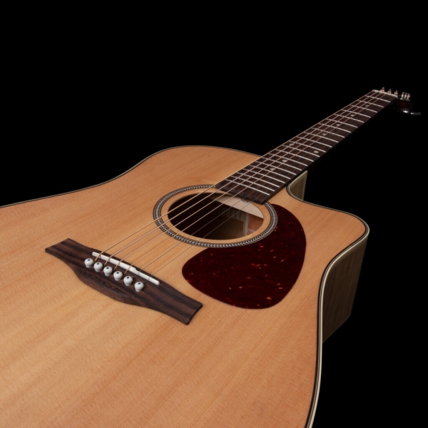 Guitar Seagull Performer CW HG Presys II