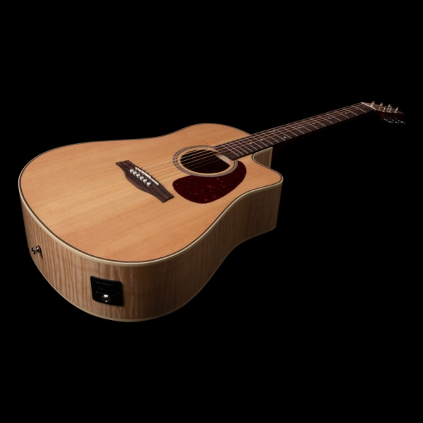 Guitar Seagull Performer CW HG Presys II