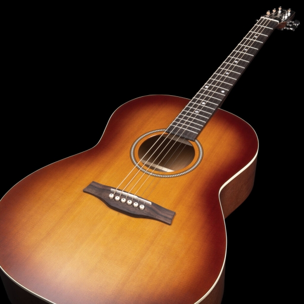 Guitar Seagull Entourage MJ Rustic Burst