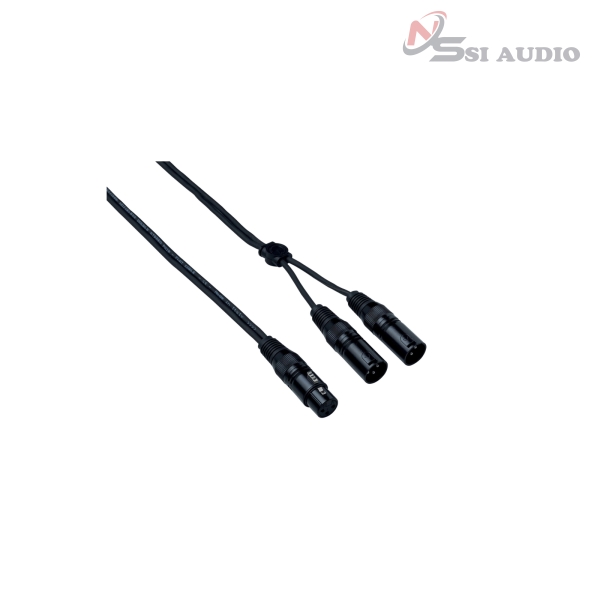 EAYFX2X300 Dây cáp interlink đầu XLR3FXN – 2 x XLR3MXN 3 mét Bespeco