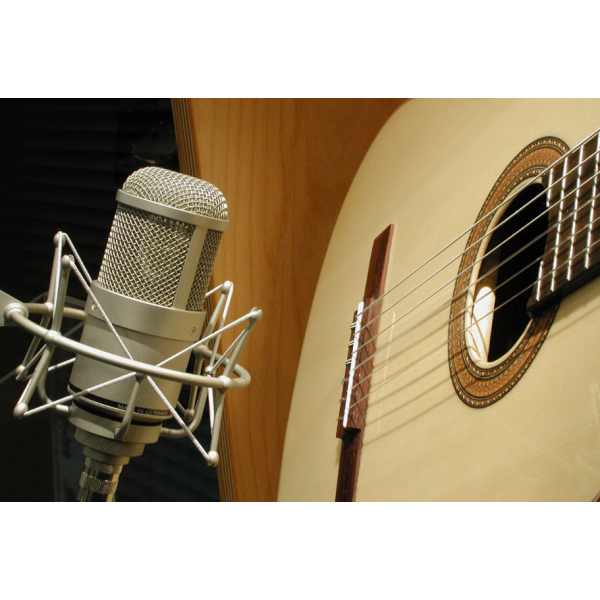 M 147 TUB condenser Neumann Microphone Thu Âm