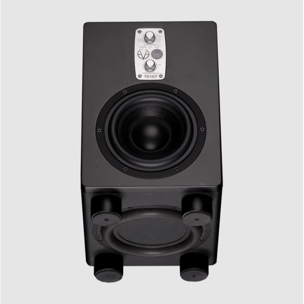 Loa Subwoofer EVE TS107