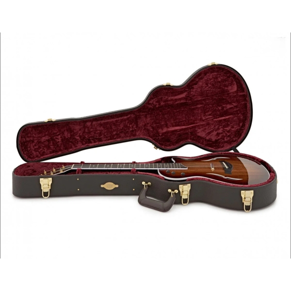 Taylor T5z Custom đàn guitar điện