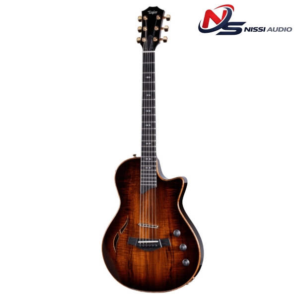 Taylor T5z Custom đàn guitar điện