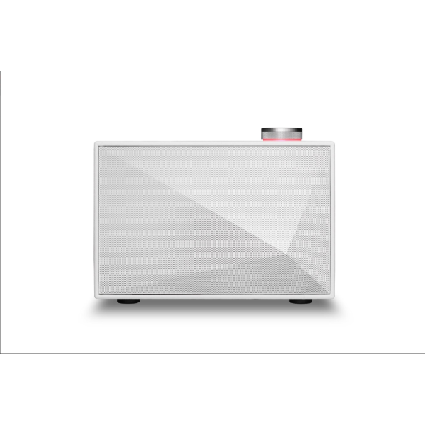 Loa bluetooth Astell & Kern ACRO BE100